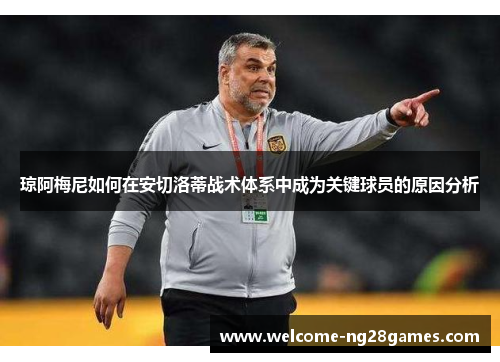 琼阿梅尼如何在安切洛蒂战术体系中成为关键球员的原因分析